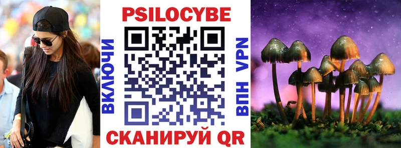 купить  цена  Ахтырский  Псилоцибиновые грибы Magic Shrooms 
