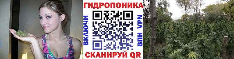 Шишки марихуана Ganja  Ахтырский 